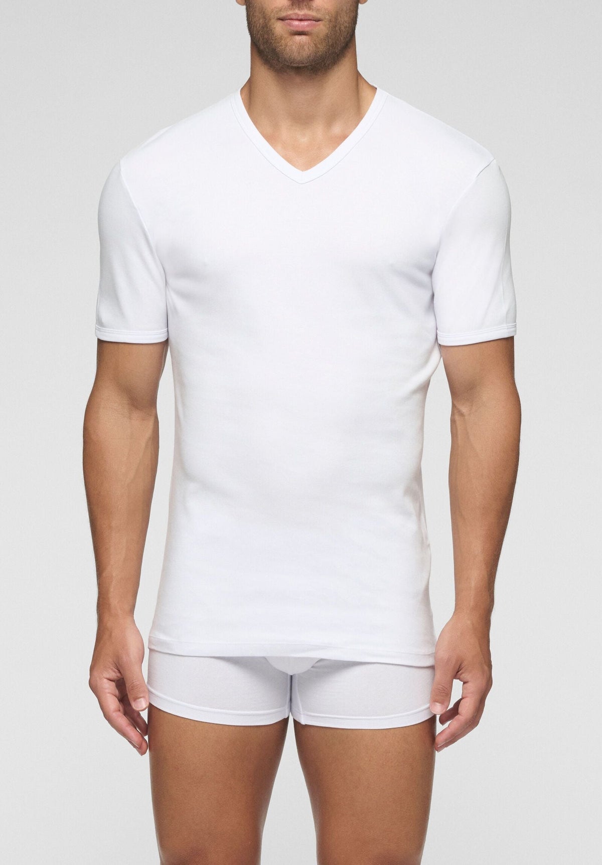 CAGI V-Neck T-Shirt 1302, Soft Line Brushed Cotton, White